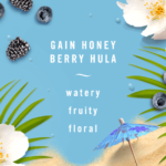FEBREZE Air Gain Honey Berry Hula